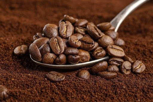 best coffee beans​